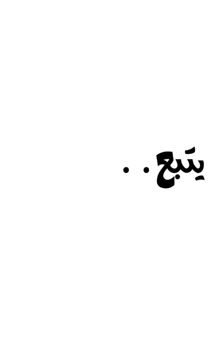 صفحة 17