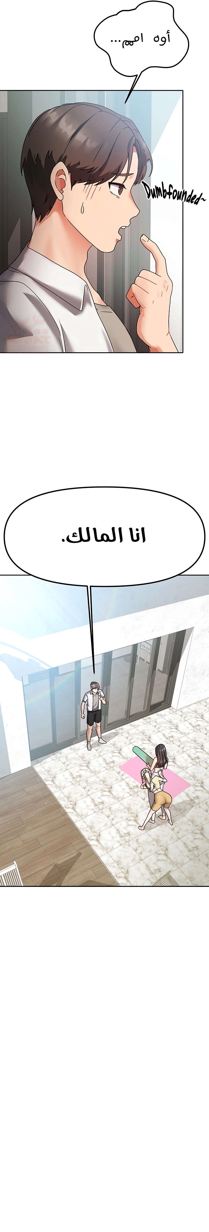 صفحة 17