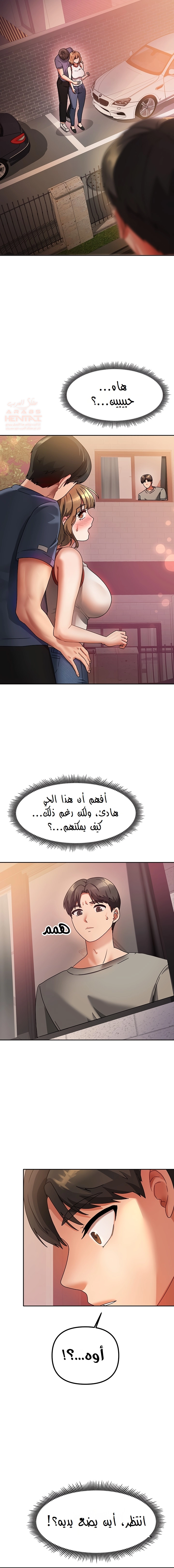 صفحة 17