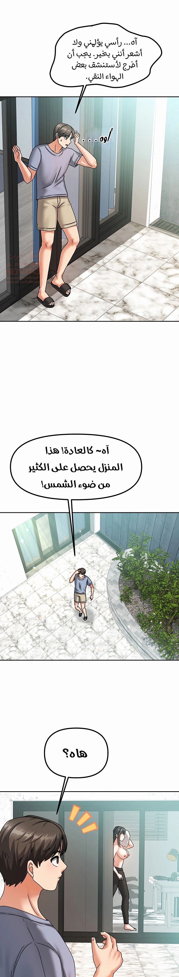 صفحة 17